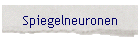 Spiegelneuronen
