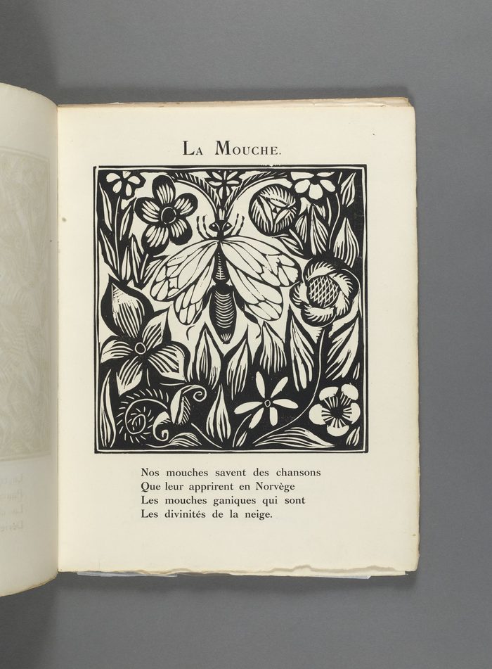 Le Bestiaire (1911), La Mouche